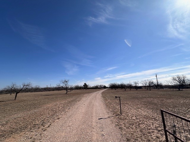 6290 S Hwy 208, Hermleigh, Texas image 3