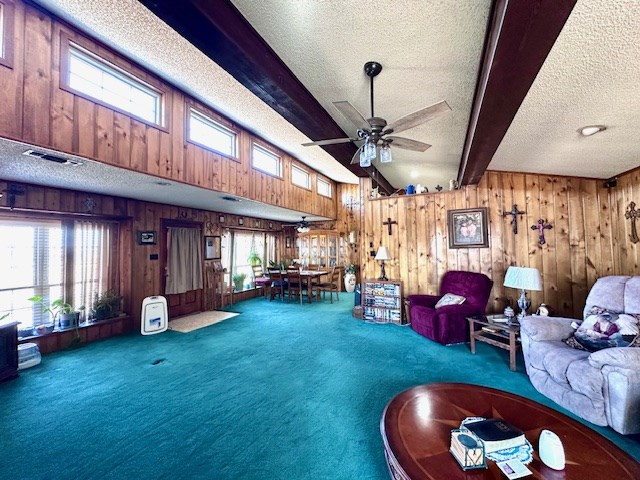 6290 S Hwy 208, Hermleigh, Texas image 15