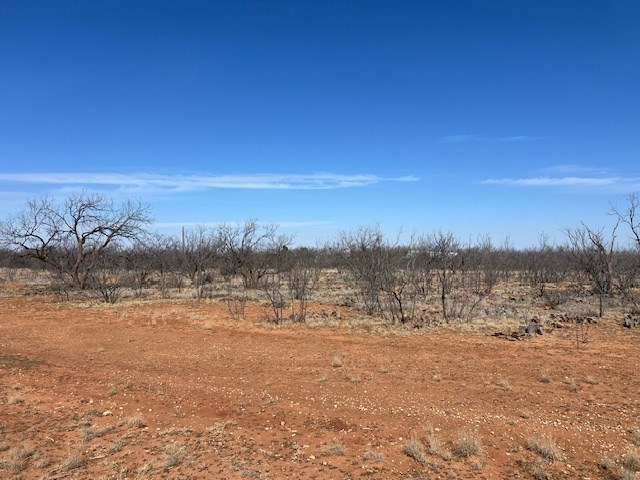 6290 S Hwy 208, Hermleigh, Texas image 46