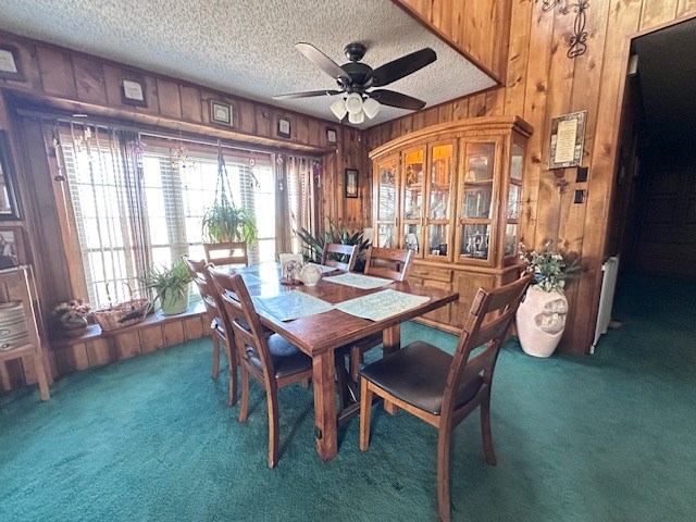 6290 S Hwy 208, Hermleigh, Texas image 10