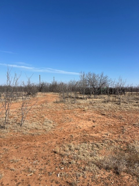 6290 S Hwy 208, Hermleigh, Texas image 47