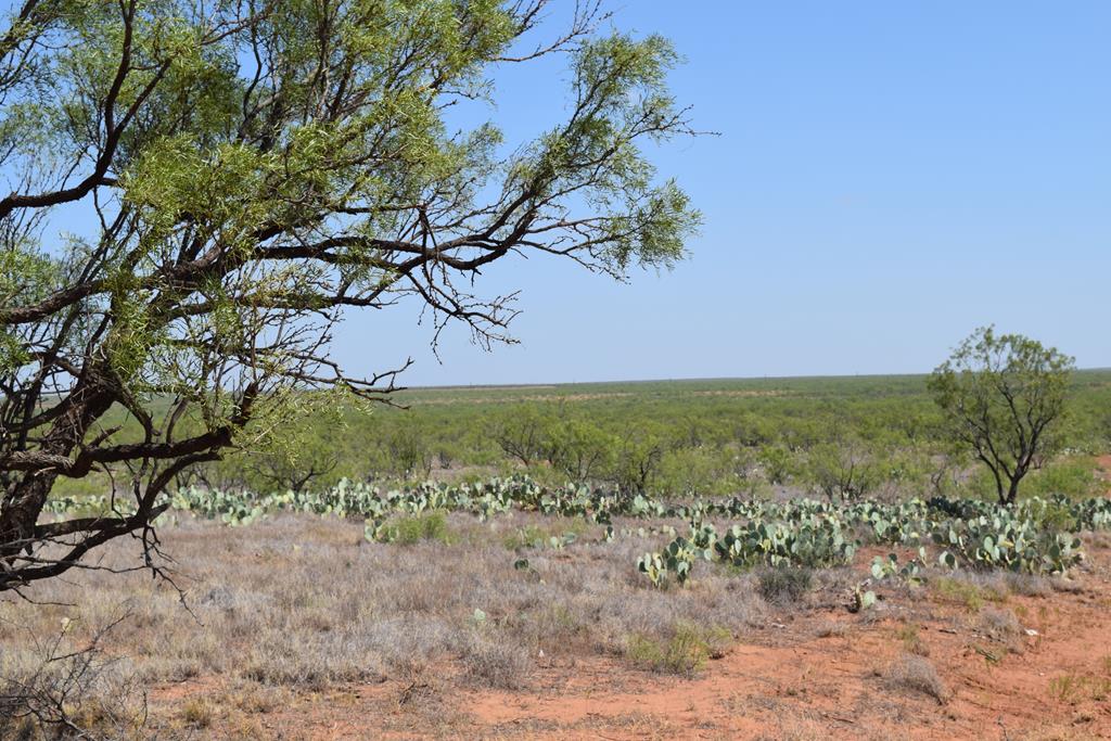 County Rd 243, Westbrook, Texas image 1