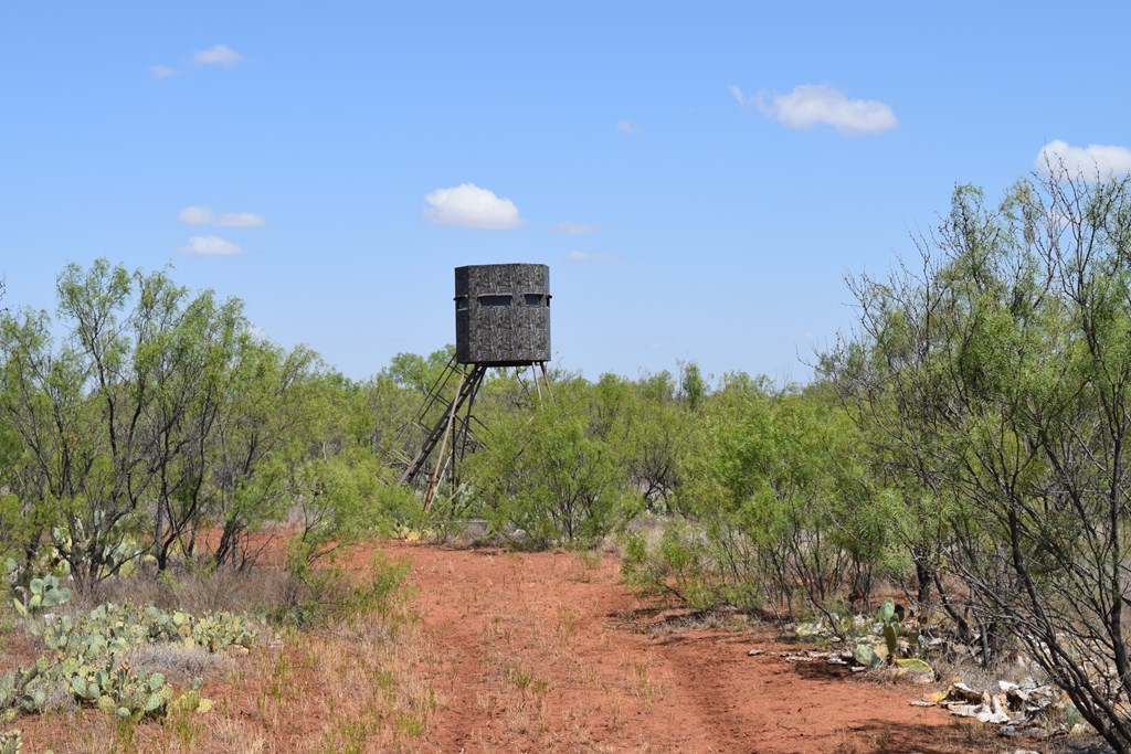 County Rd 243, Westbrook, Texas image 42