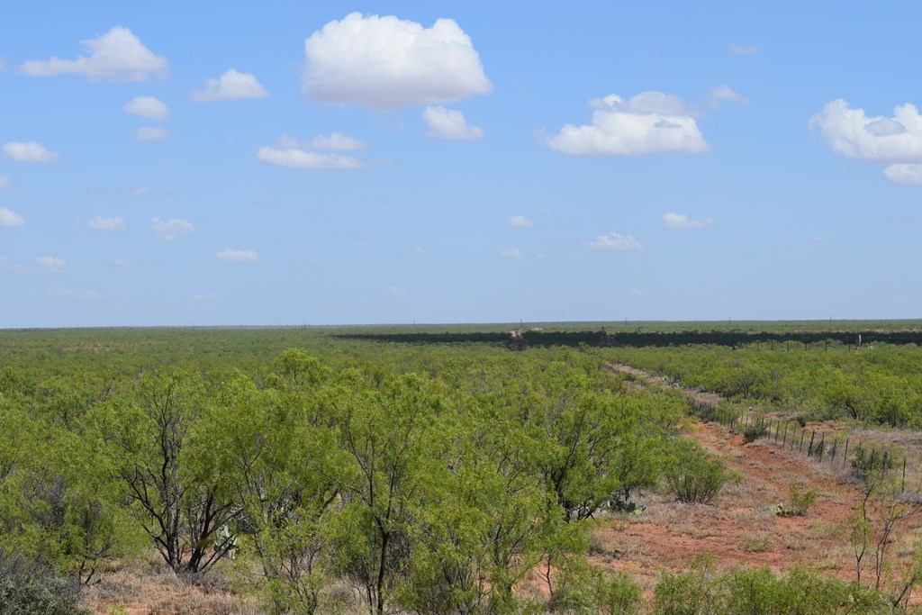 County Rd 243, Westbrook, Texas image 43