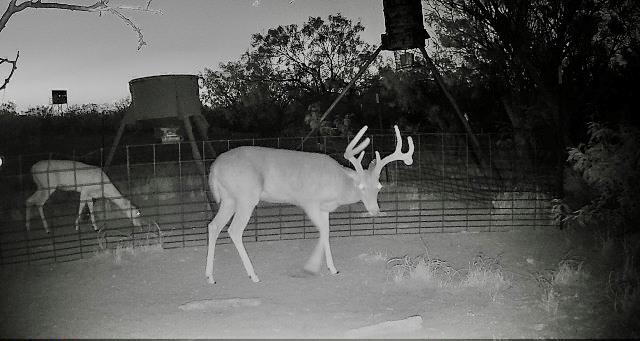 County Rd 243, Westbrook, Texas image 46