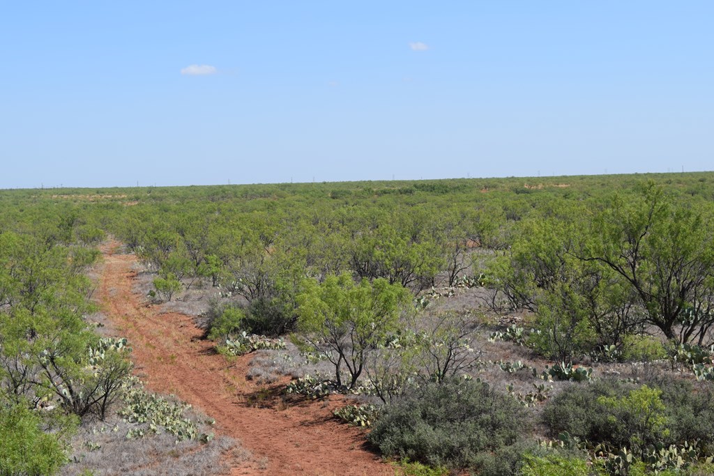 County Rd 243, Westbrook, Texas image 37