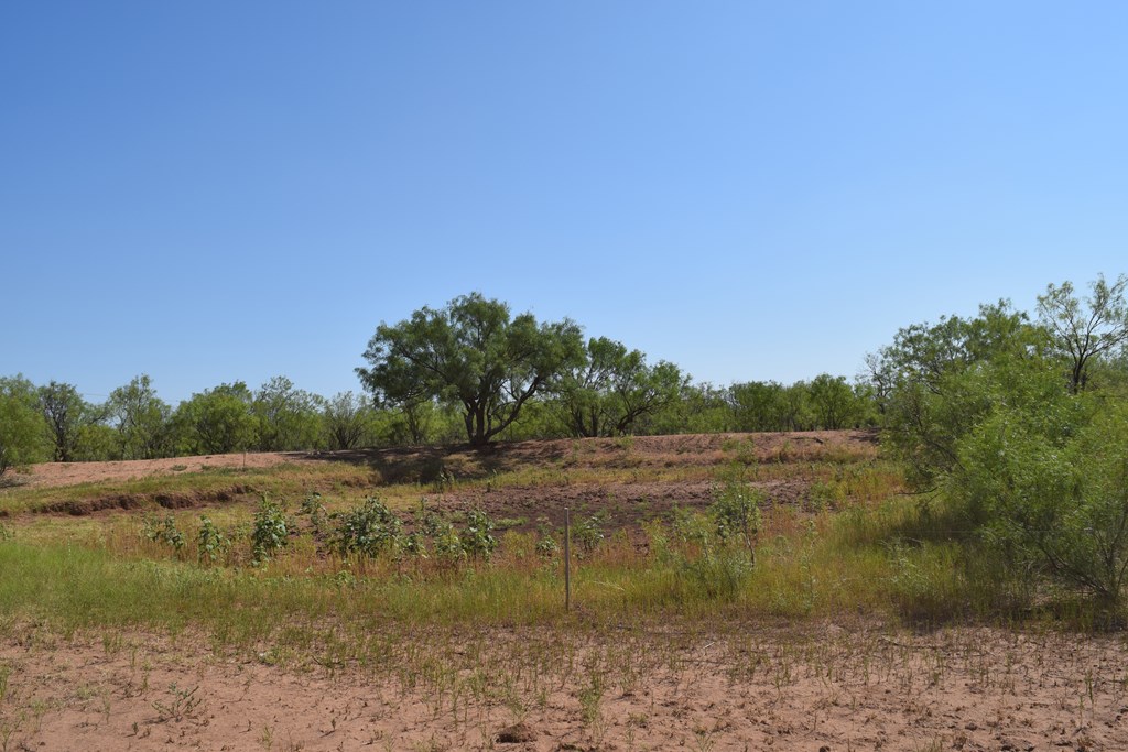 County Rd 243, Westbrook, Texas image 8