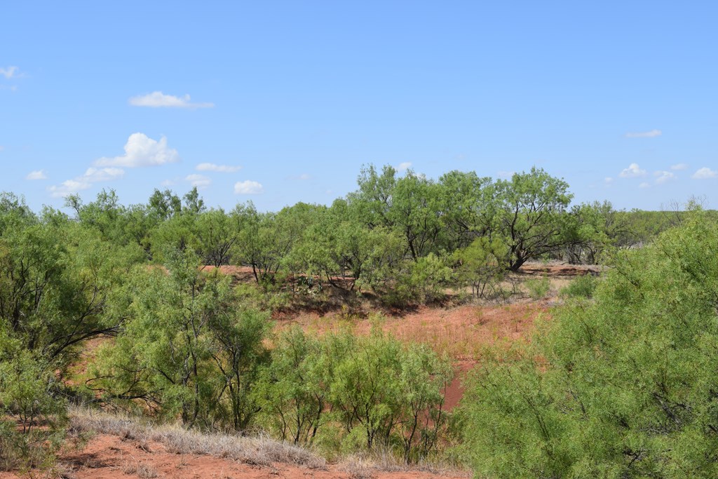 County Rd 243, Westbrook, Texas image 41