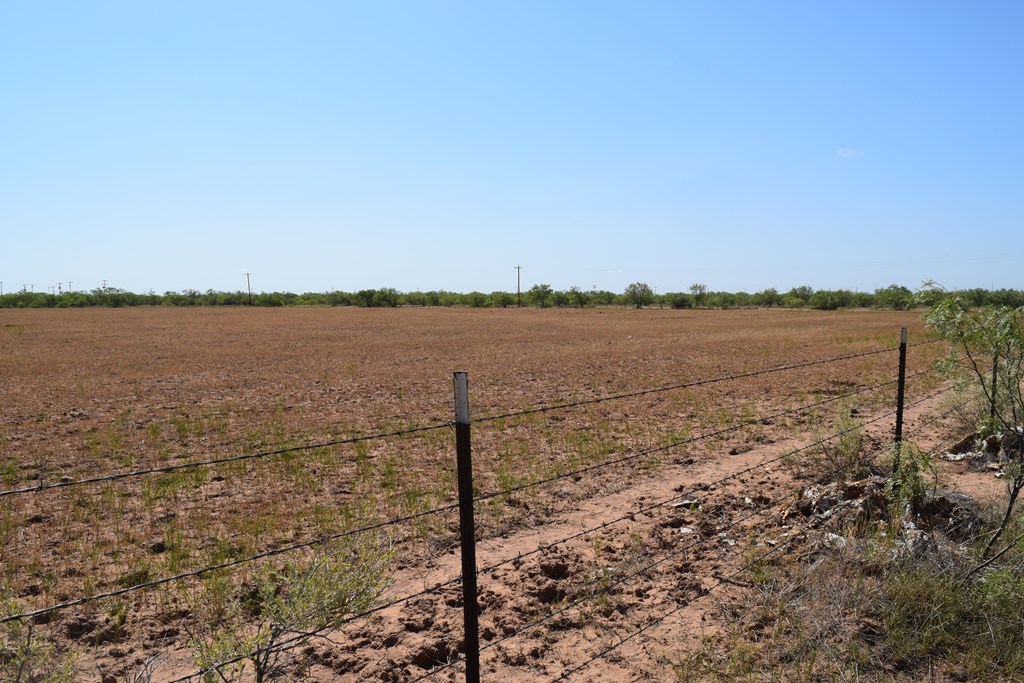 County Rd 243, Westbrook, Texas image 9