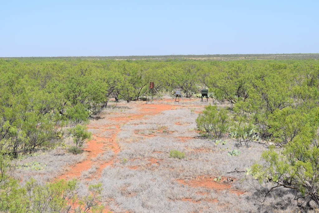 County Rd 243, Westbrook, Texas image 36