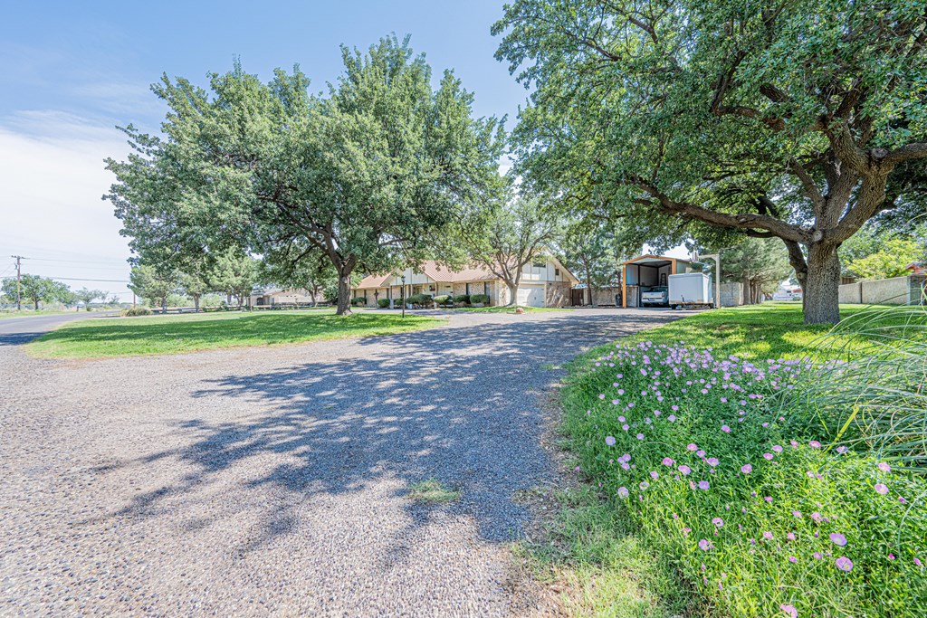 9311 Cromwell Terrace, Odessa, Texas image 3