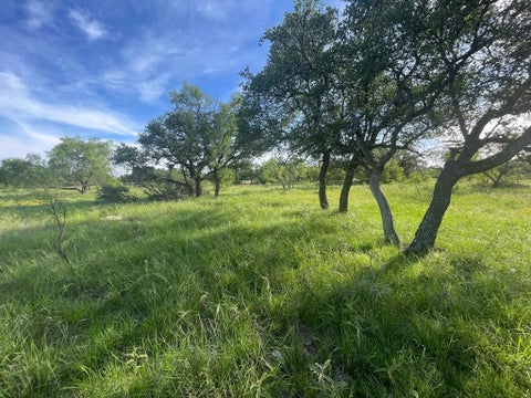 Vacant Land For Sale - 0000 Streetman Trail<br/> Christoval, TX 76935