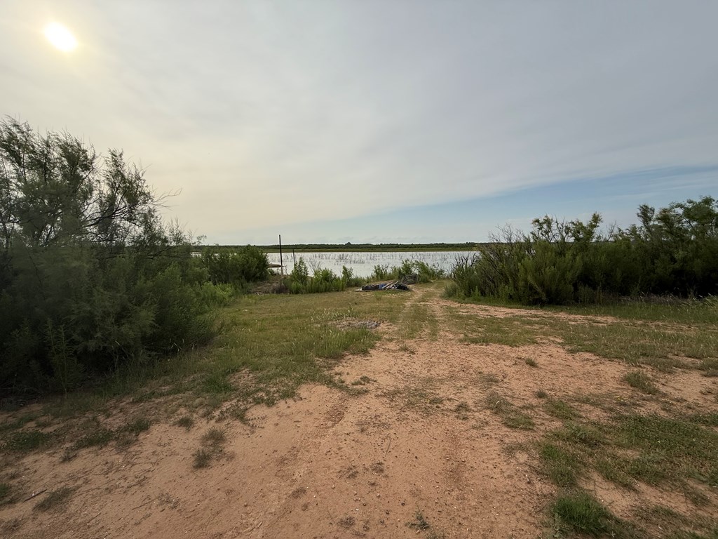1155 Lcr 175, Colorado City, Texas image 2