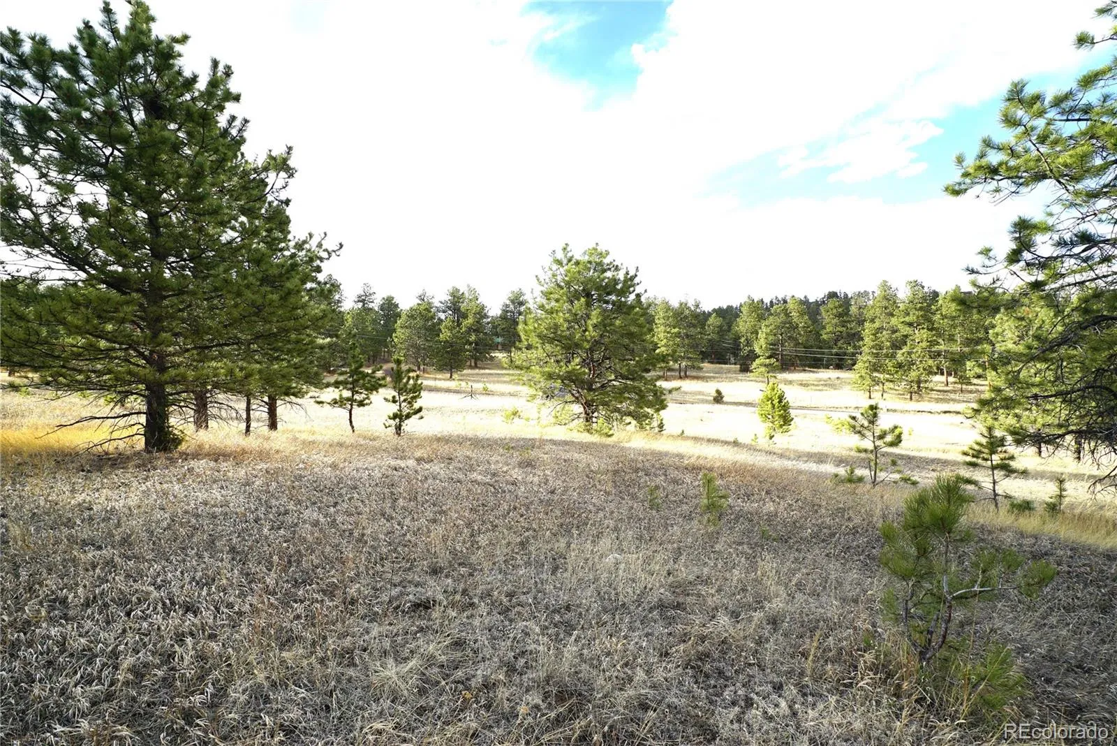 174 Chickadee Dr  