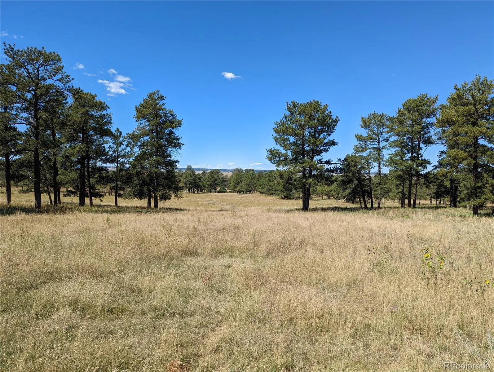 00 County Rd 89  