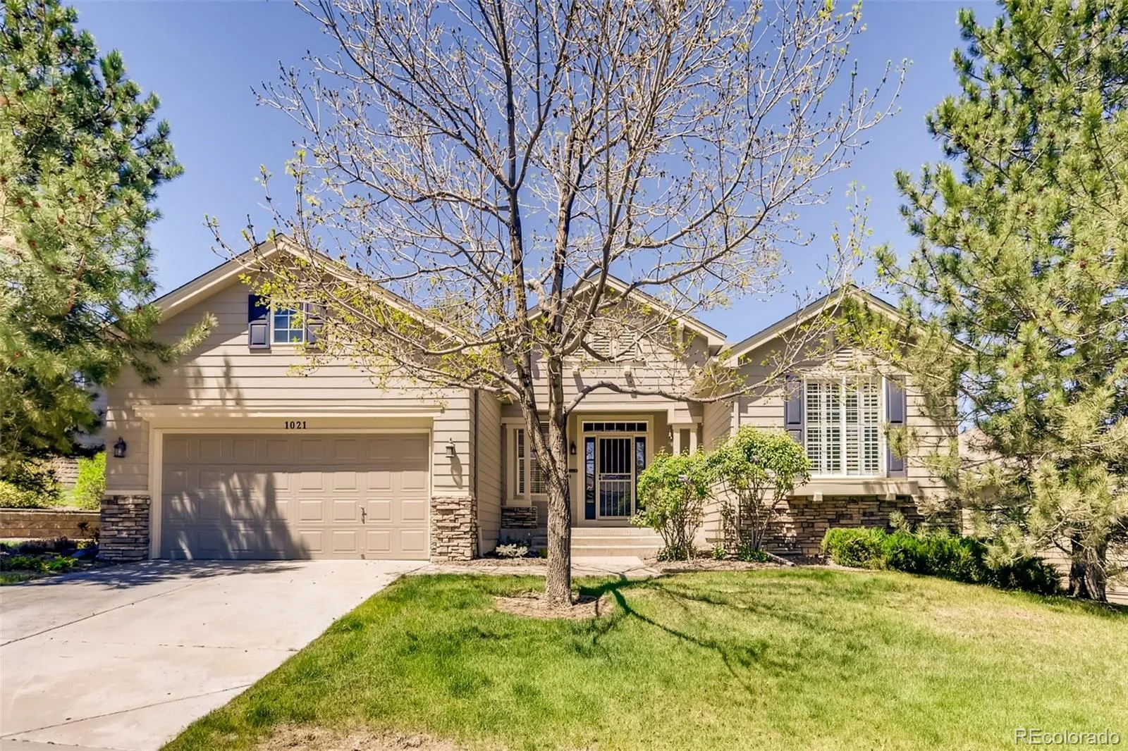 1021 Snow Lily Ct  