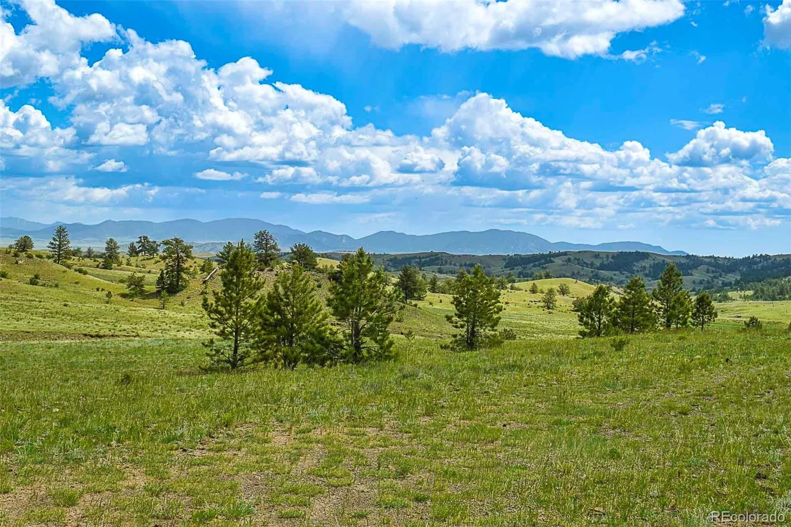 Quail Court, Hartsel, CO 80449 | 2434832 | Nestfully