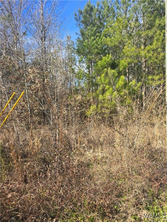16 Timbertop Lane, Fosters, Alabama image 1