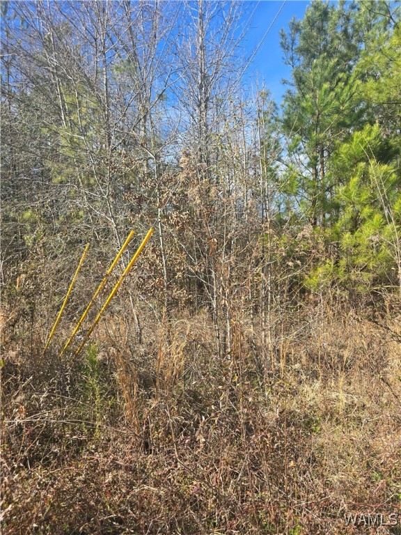 16 Timbertop Lane, Fosters, Alabama image 2