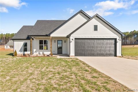 Homes For Sale - 11633 Meadows Road<br/> Berry, AL 35546