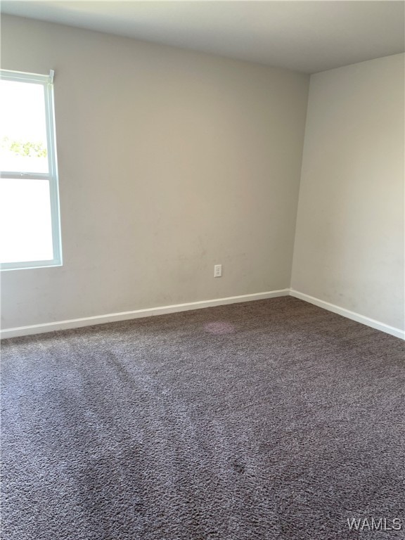 2600 Halo Lane, Tuscaloosa, Alabama image 13