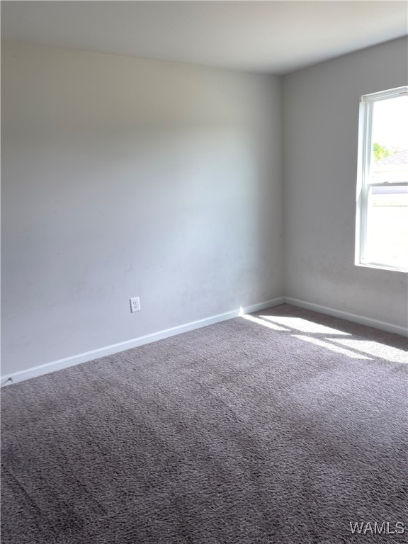 2600 Halo Lane, Tuscaloosa, Alabama image 12