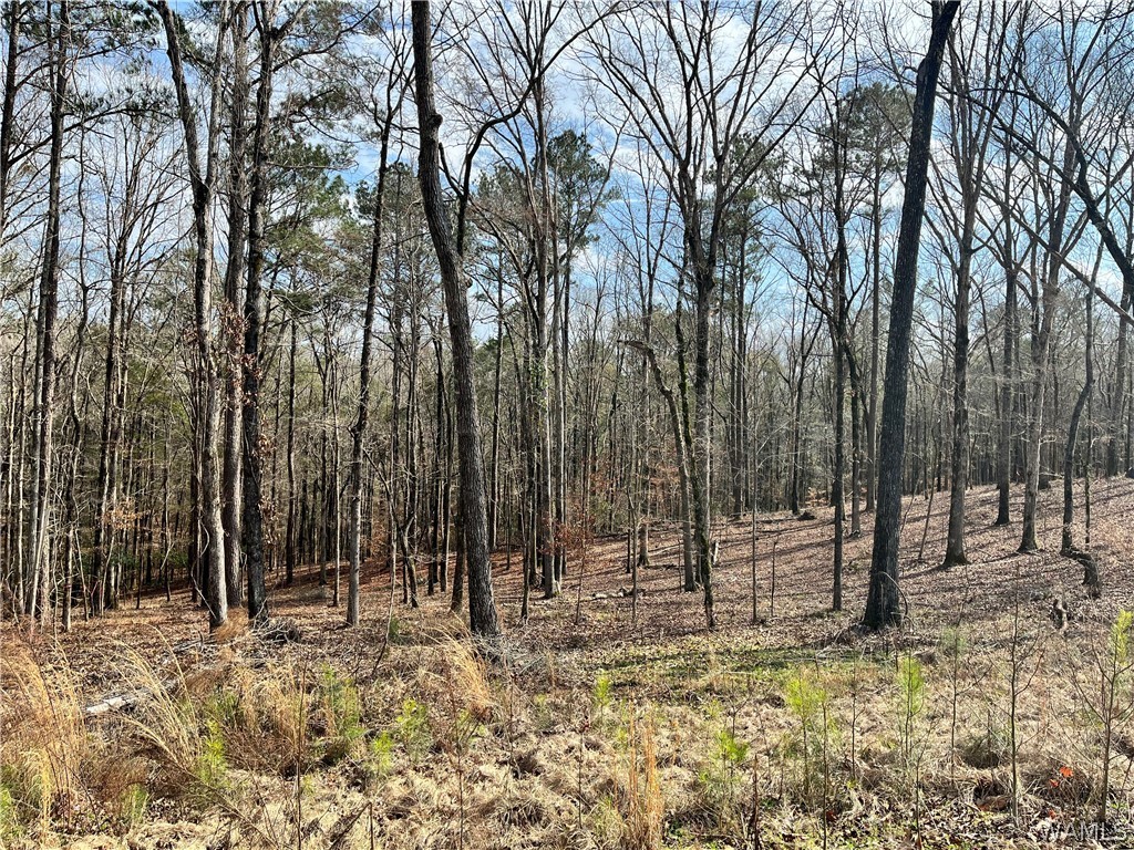 LOT#24 Edgewater Drive, North Port, Alabama image 3