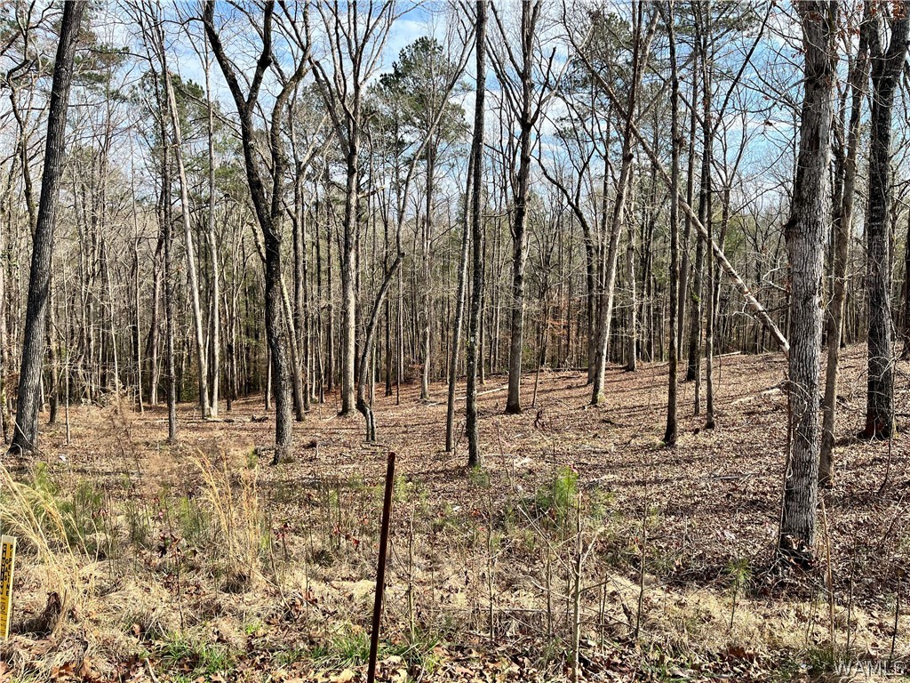 LOT#24 Edgewater Drive, North Port, Alabama image 4