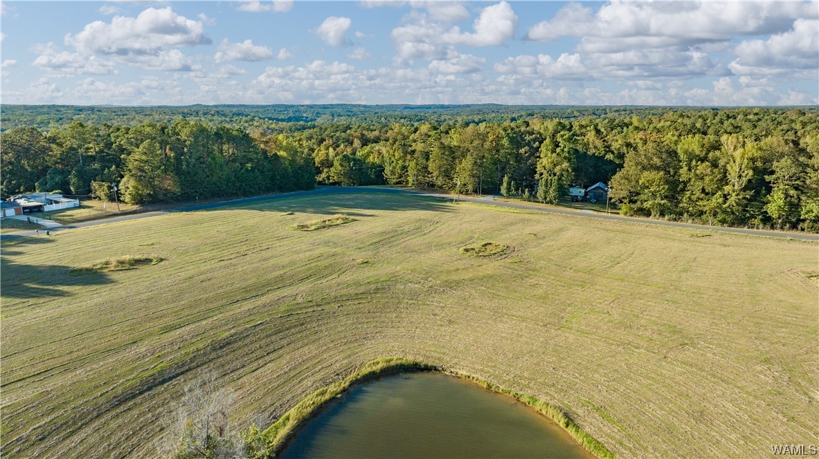 14 Hilltop Estates, North Port, Alabama image 43