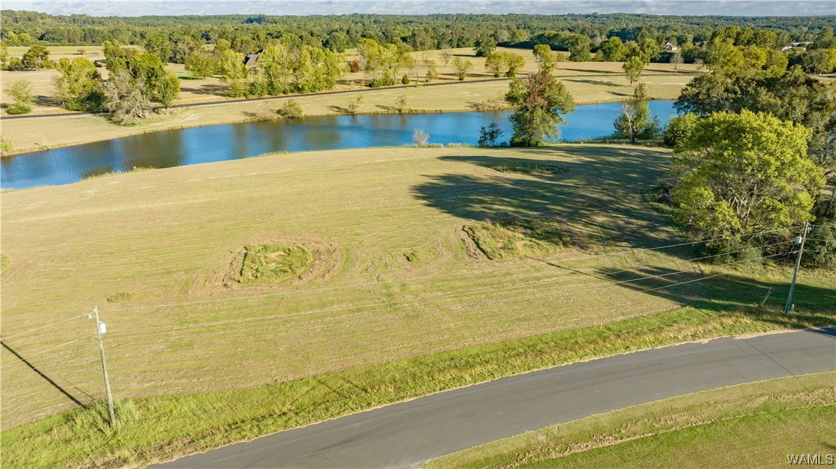 14 Hilltop Estates, North Port, Alabama image 8