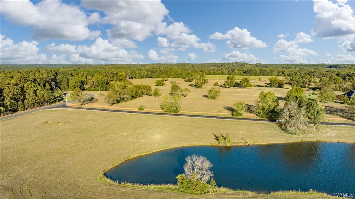 14 Hilltop Estates, North Port, Alabama image 40