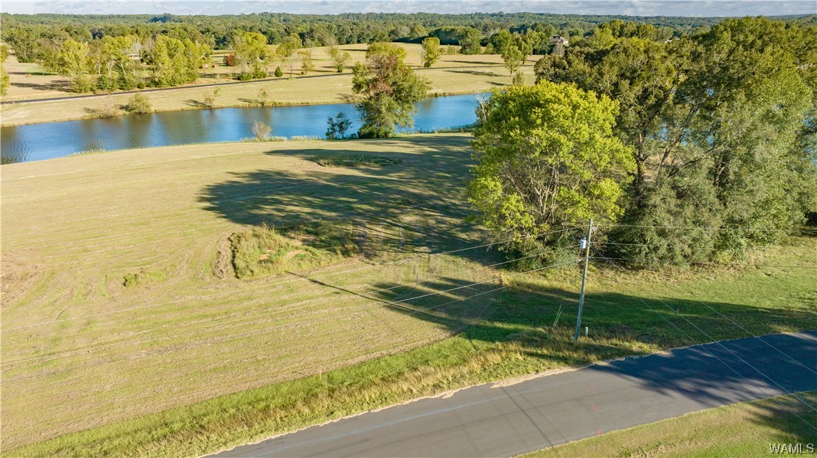 14 Hilltop Estates, North Port, Alabama image 7