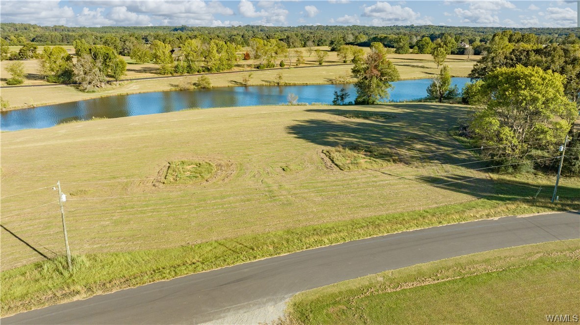 14 Hilltop Estates, North Port, Alabama image 9