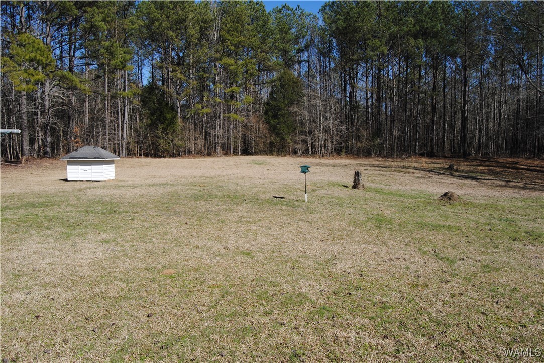 14107 Highway 107, Winfield, Alabama image 4