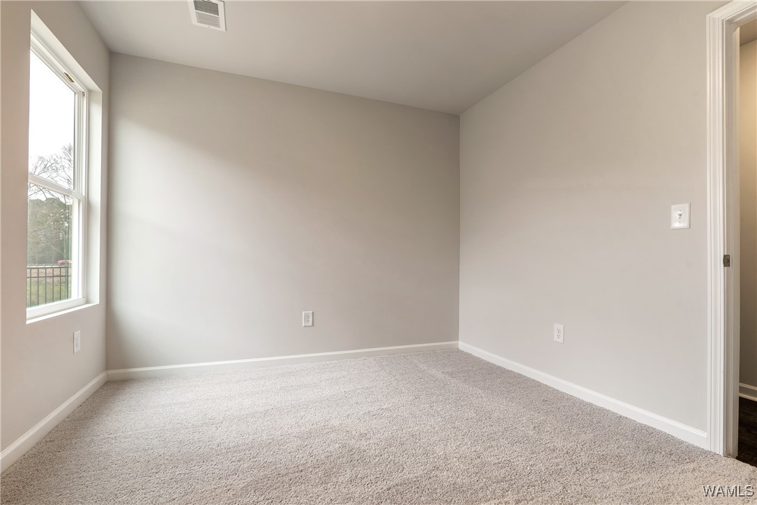 14136 Sir Galahad Drive, Tuscaloosa, Alabama image 10