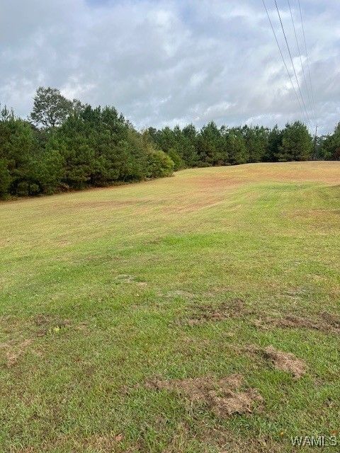 11481 Big Sandy Springs Road Vance AL 35490