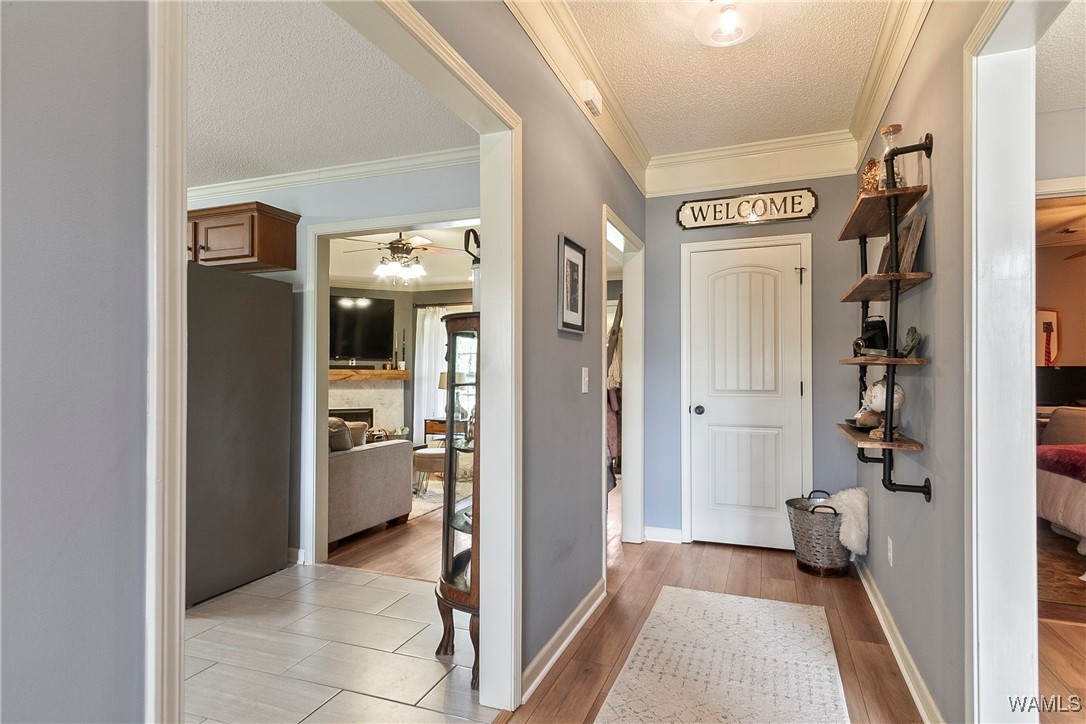 1301 Jamestown Circle, Moundville, Alabama image 3