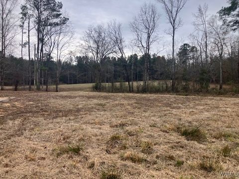 Vacant Land For Sale - 12990 Northside Road<br/> North Port, AL 35475