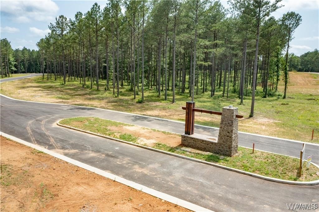 Lot 15 Stormi Way, Berry, Alabama image 2