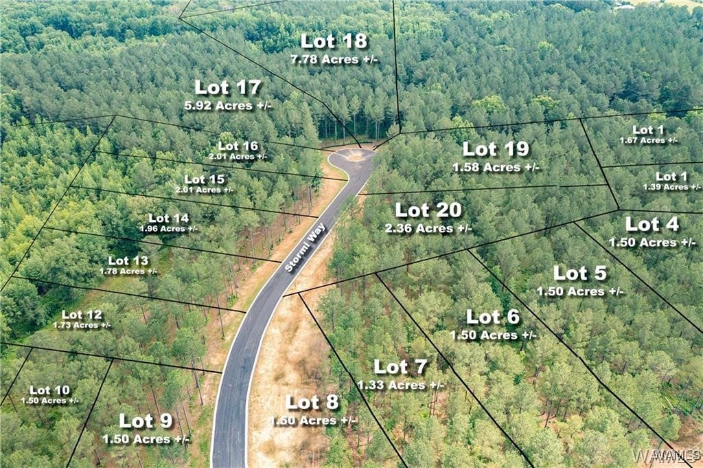 Lot 15 Stormi Way, Berry, Alabama image 3