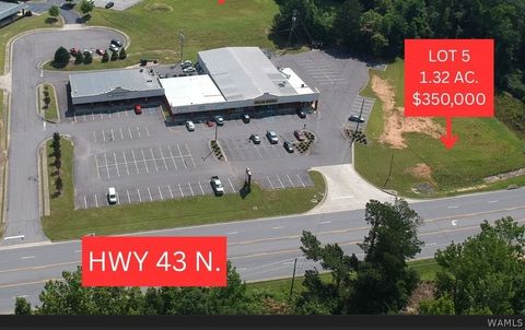 4419 HIGHWAY 43 N Northport AL 35473