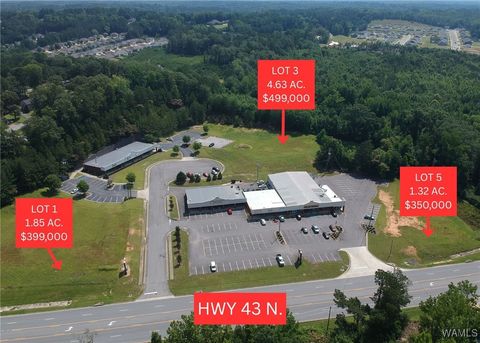 4419 HIGHWAY 43 N Northport AL 35473