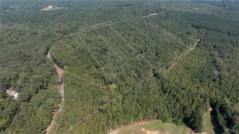 Vacant Land For Sale - 4 Dunn Creek Road<br/> Gordo, AL 35466