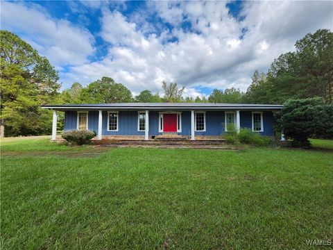 Homes For Sale - 1365 Panola Parkway 34<br/> Aliceville, AL 35442