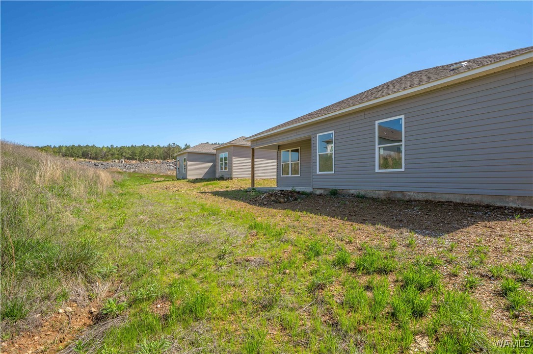 10368 Squires Way, Brookwood, Alabama image 23