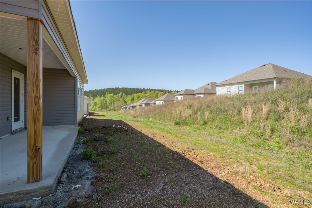 10368 Squires Way, Brookwood, Alabama image 26