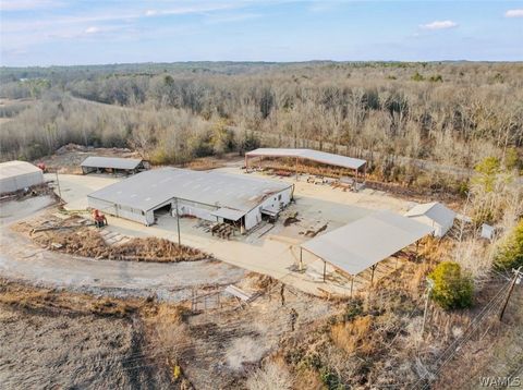 7533 Salem Rd Gordo AL 35466