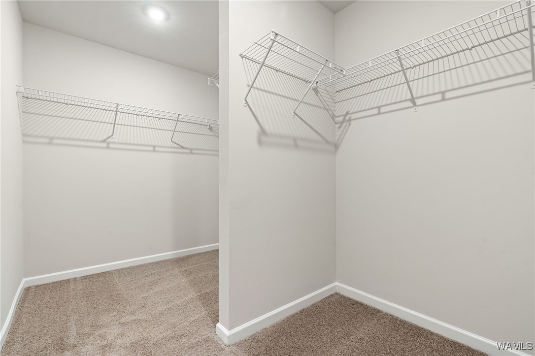 10410 Caleb Court, Tuscaloosa, Alabama image 16