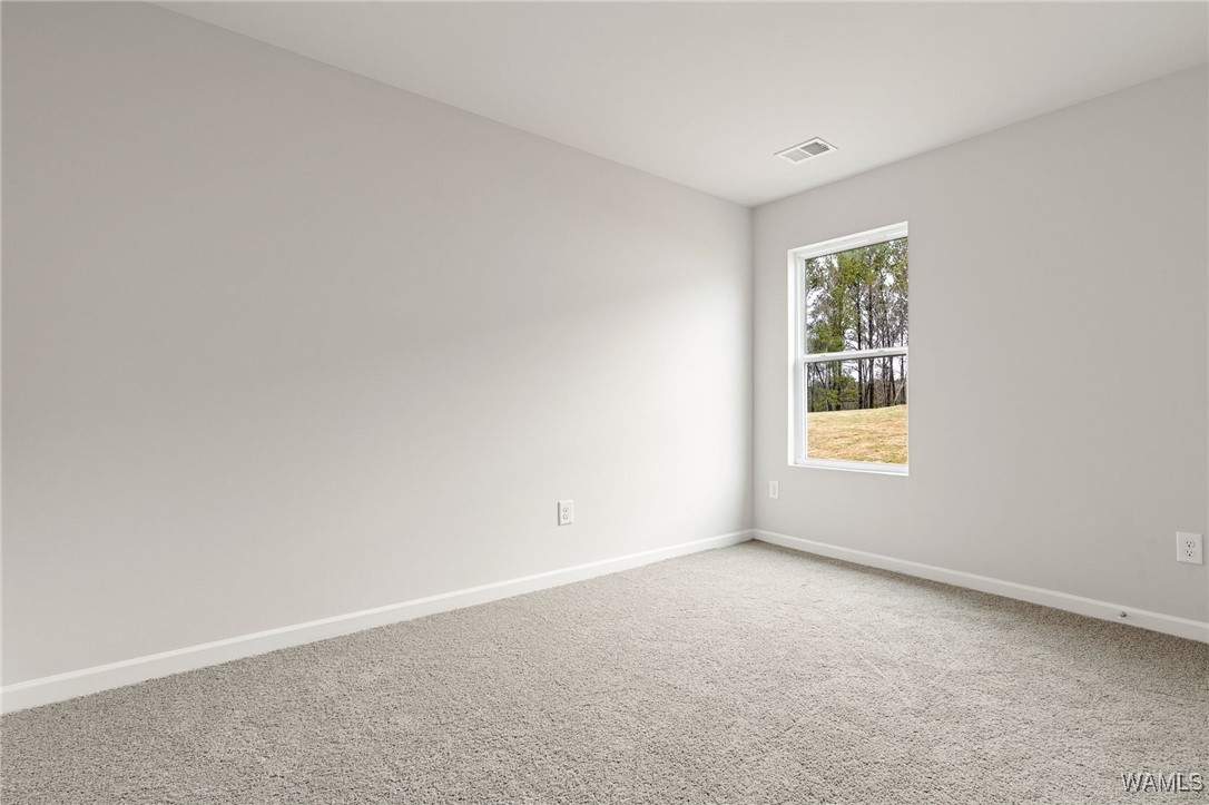 10410 Caleb Court, Tuscaloosa, Alabama image 21
