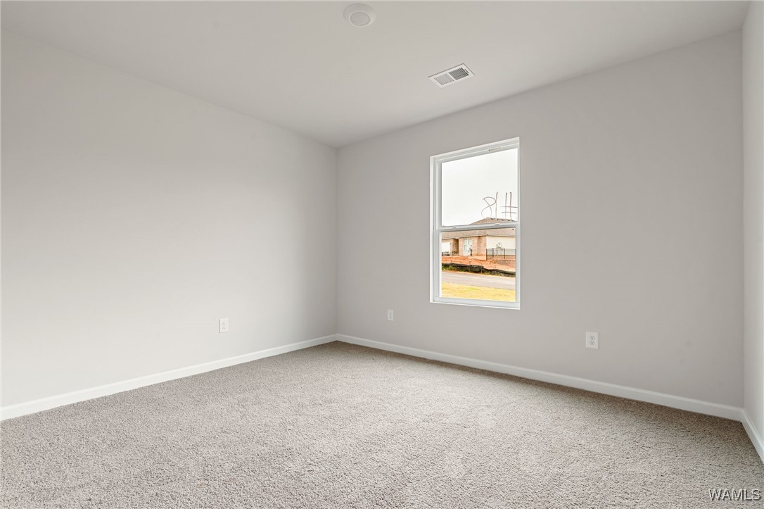 10410 Caleb Court, Tuscaloosa, Alabama image 17